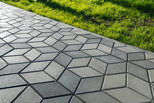 Best Driveway Pavers Near Me  in Williams, CA