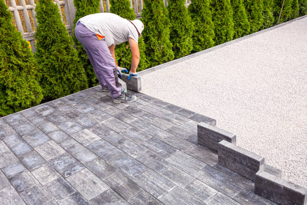 Best Local Driveway Pavers  in Williams, CA