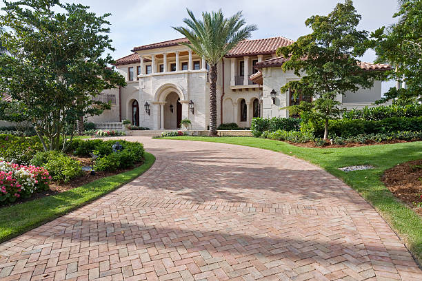Best Driveway Paving Company  in Williams, CA